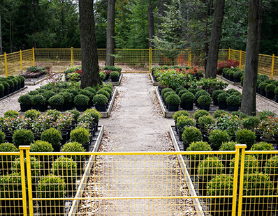 Garden Centre Compounds and Christ Tree Lots